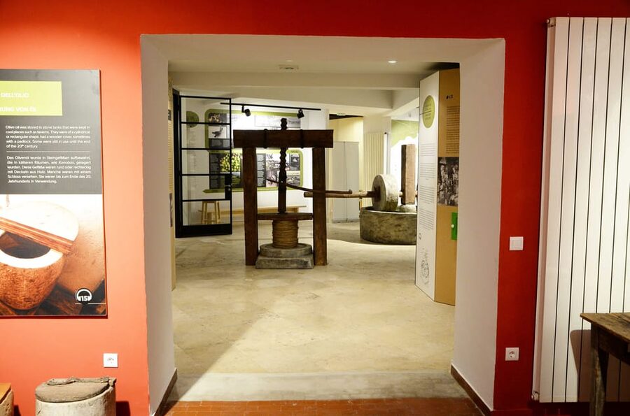 Pula: House of Istrian Olive Oil Museum and Guided Tasting - Watching traditional and modern oil production