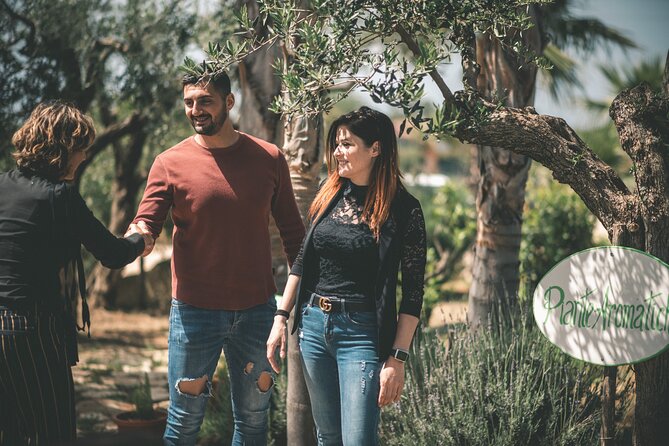Raccolta delle olive e degustazione vini e olio con brunch ad Alcamo - Location, meeting point, and the Alcamo question