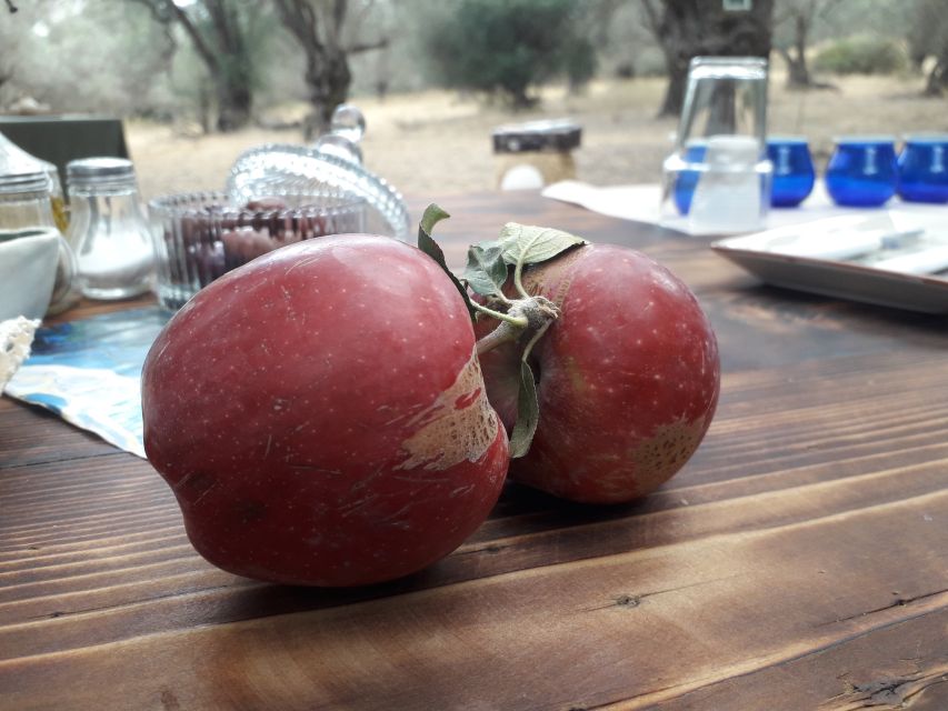 Rethymno: Olive Oil Tasting with Cretan Food Pairing - Learning how olive oil is harvested and made