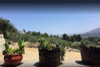 Private Winery & Olive Oil Tasting Tour with Lunch