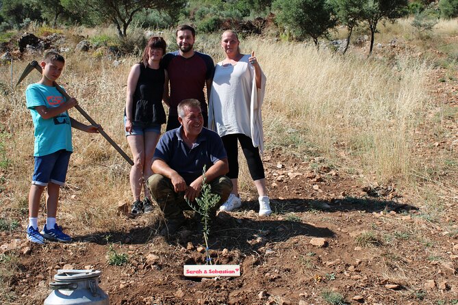 Rethymnon Olive Tree Sponsorship Protect and Plant Tour - Sponsoring an existing tree near Rethymno