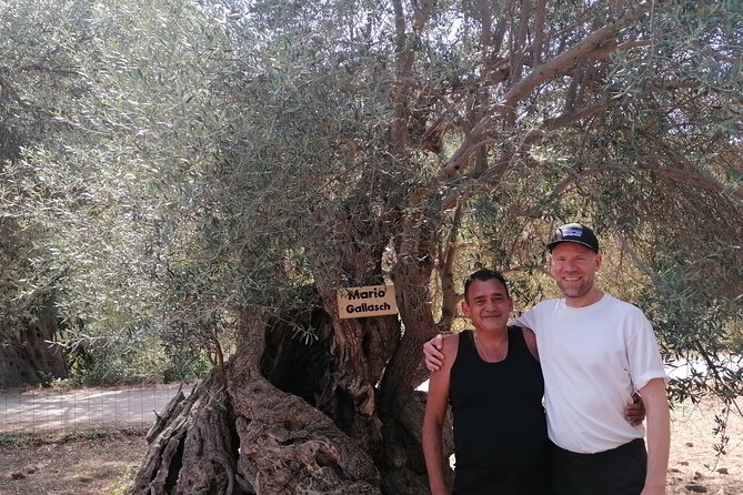 Rethymnon Olive Tree Sponsorship Protect and Plant Tour - Planting a young olive from the Cretan Lazarus project