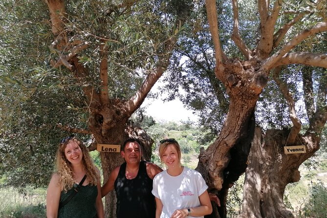 Rethymnon Olive Tree Sponsorship Protect and Plant Tour - The old trees behind the project