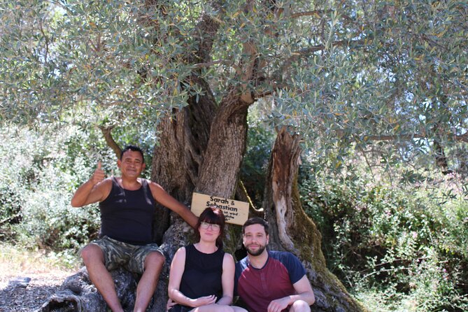 Rethymnon Olive Tree Sponsorship Protect and Plant Tour - Photos, video, and the name plaque
