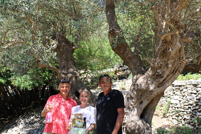 Rethymnon Olive Tree Sponsorship Protect and Plant Tour - What the $141.78 price means