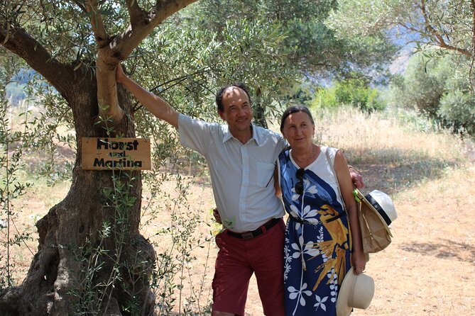 Rethymnon Olive Tree Sponsorship Protect and Plant Tour - What happens during the two and a half hours