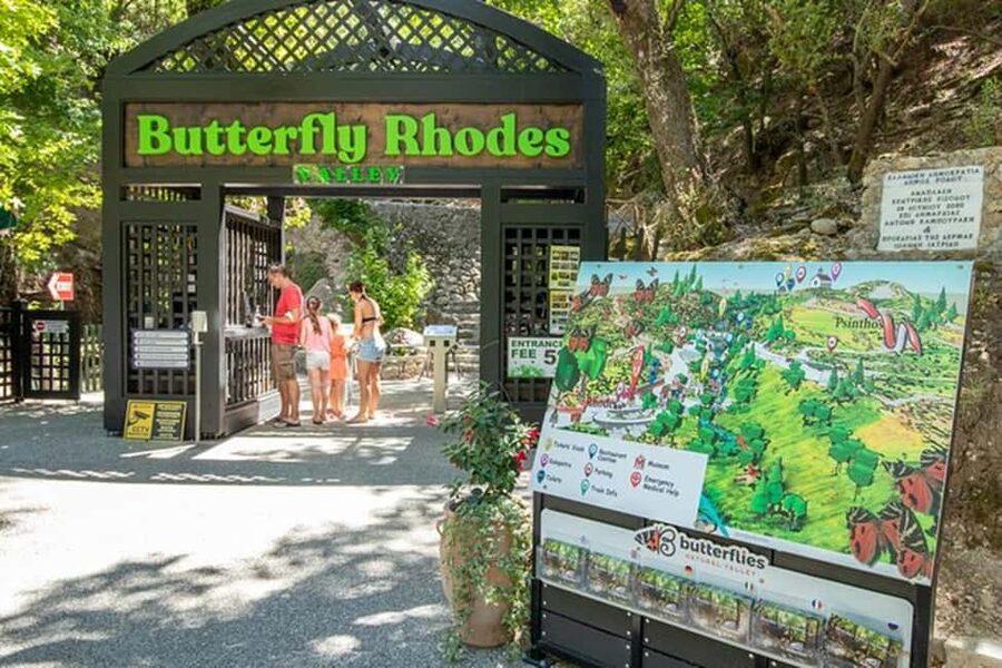 Rhodes: Island Round Tour With Wine Olive Oil, Honey Tasting - Transport, timing, and what the day feels like