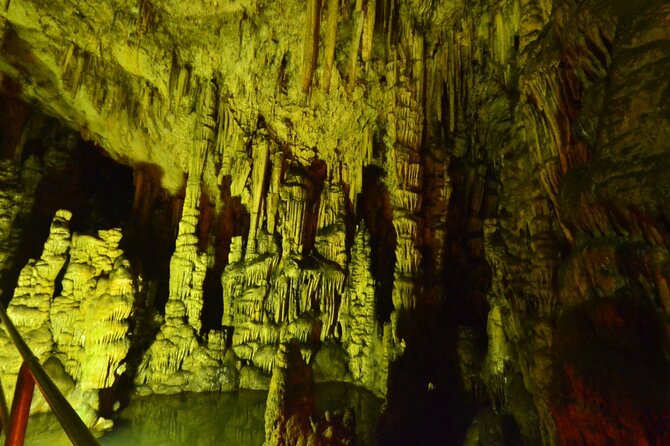 Road-trip to Lasithi, Zeus Cave, Vidiani, Krasi & Olive Mill Farm - Why the guides and driver matter