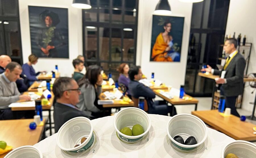 Rome: Masterclass Extra Virgin Olive Oil & Table Olives - Starting With the Olive, the Oil, and Italian Variety