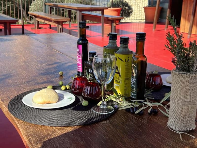 Ronda: LA Almazara LA Organic, Olive Oil Museum and Tasting - Why this is more than an olive oil tasting