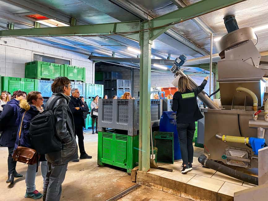 Saint Gilles: Visit an olive oil mill in an organic olive grove - Key points to know before you go