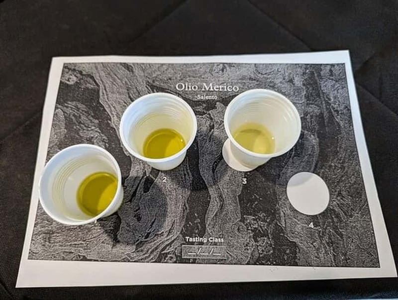 Salento: Olive Oil Mill Walking Tour with Tastings - What the $44 price buys you
