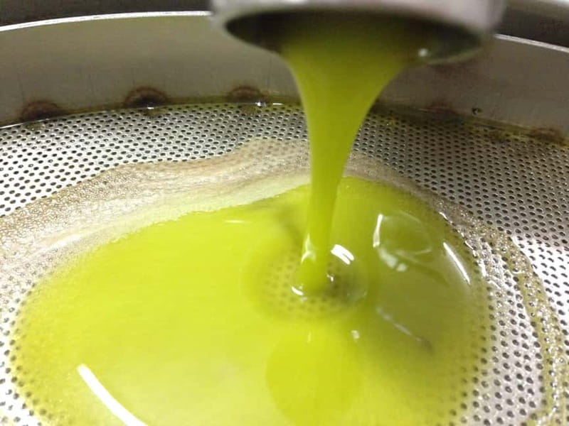 Salento: Olive Oil Mill Walking Tour with Tastings - Should you book the Miggiano olive oil tour?
