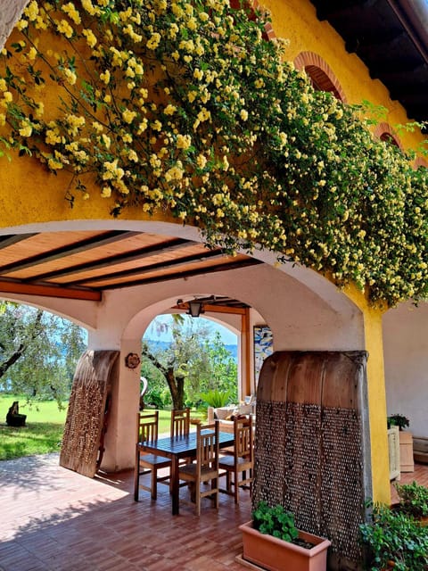 San Felice: Olive Oil Tasting with local food on Garda Hills - A quiet olive grove above Lake Garda