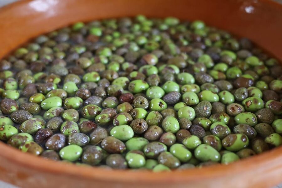 San Felice: Olive Oil Tasting with local food on Garda Hills - What the $58 price buys you