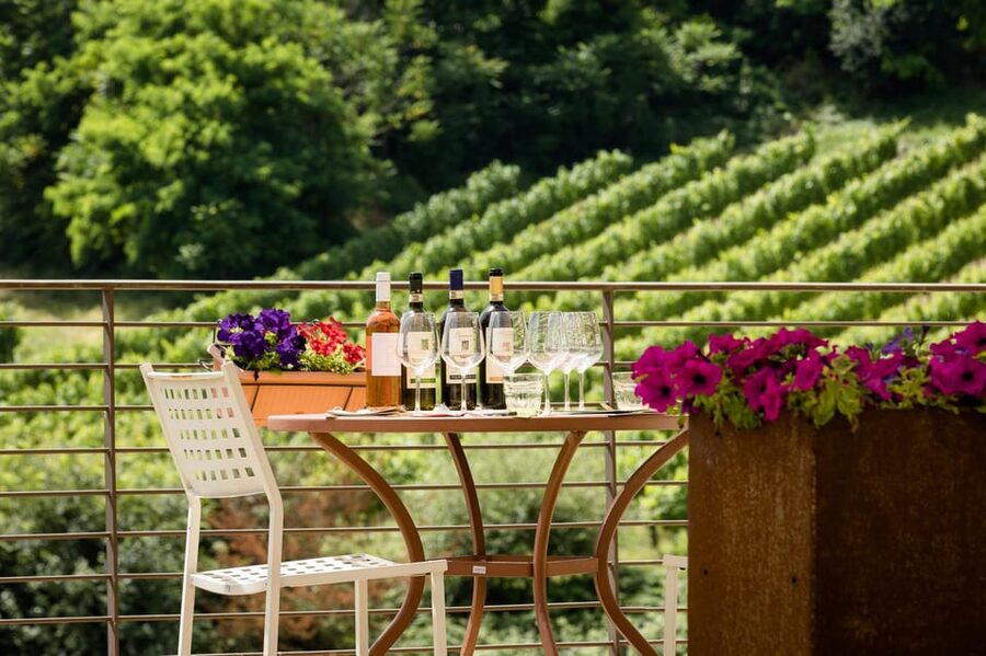 San Gimignano: Winery Visit with Picnic in Olive Grove - Learning about Chianti and Vernaccia