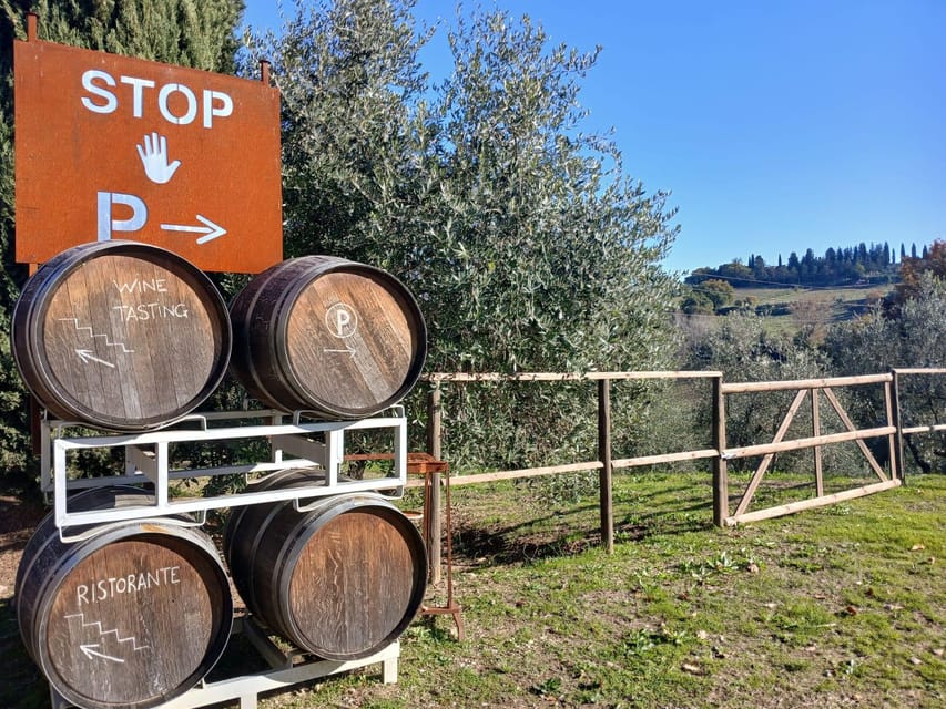 San Gimignano: Winery Visit with Picnic in Olive Grove - What arrives in the picnic basket