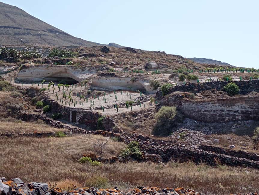 Santorini: Private Olive Oil tasting & Liqueur experience - Key points at a glance