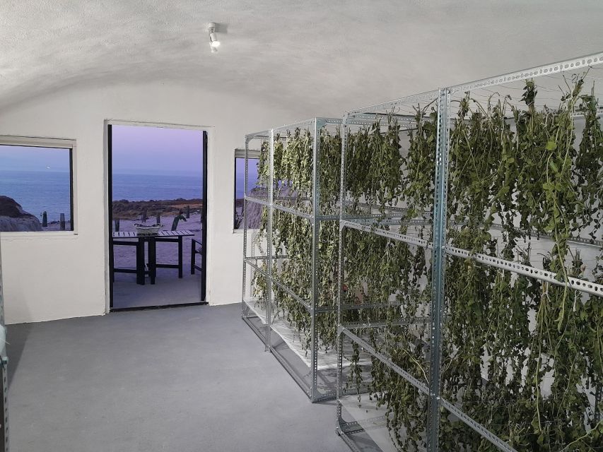 Santorini: Private Olive Oil tasting & Liqueur experience - The four terraces and the Santorinian cave