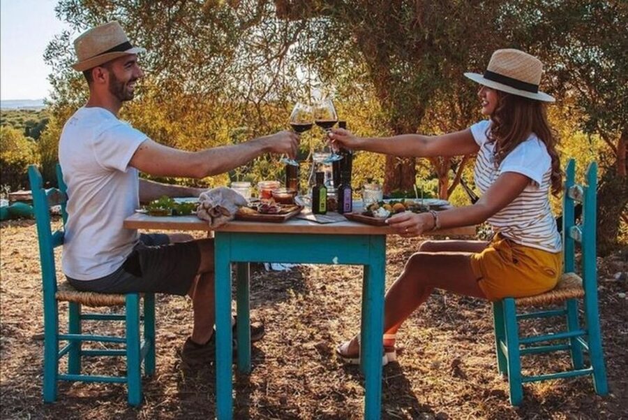 Sardinian Olive Oil tasting & Picnic among the olive trees - Key points to know before booking