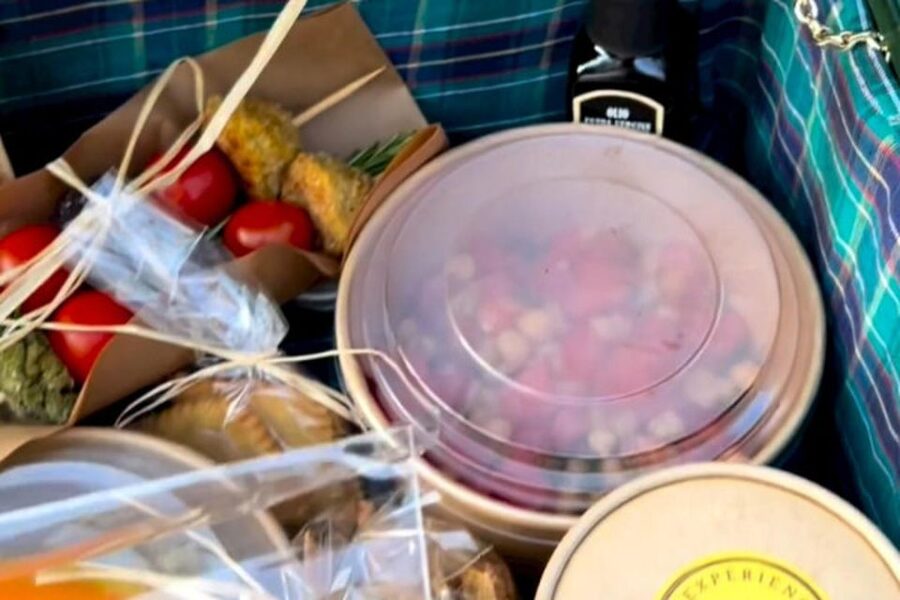 Sardinian Olive Oil tasting & Picnic among the olive trees - Walking among centenary olive trees