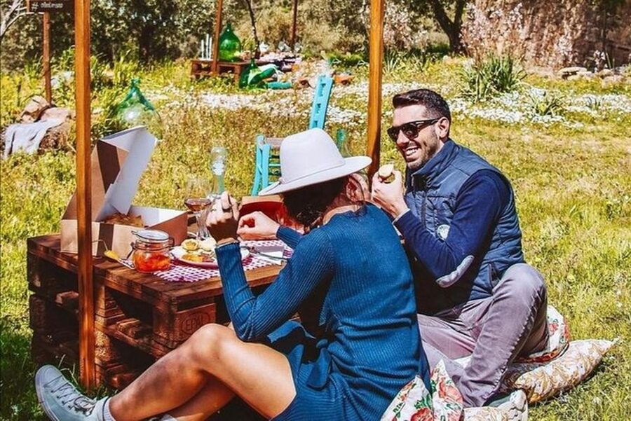 Sardinian Olive Oil tasting & Picnic among the olive trees - Learning to taste extra virgin olive oil