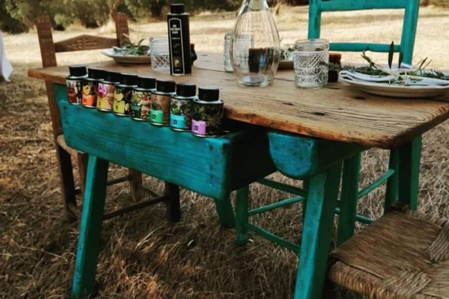 Sardinian Olive Oil tasting & Picnic among the olive trees - The seven-tasting picnic