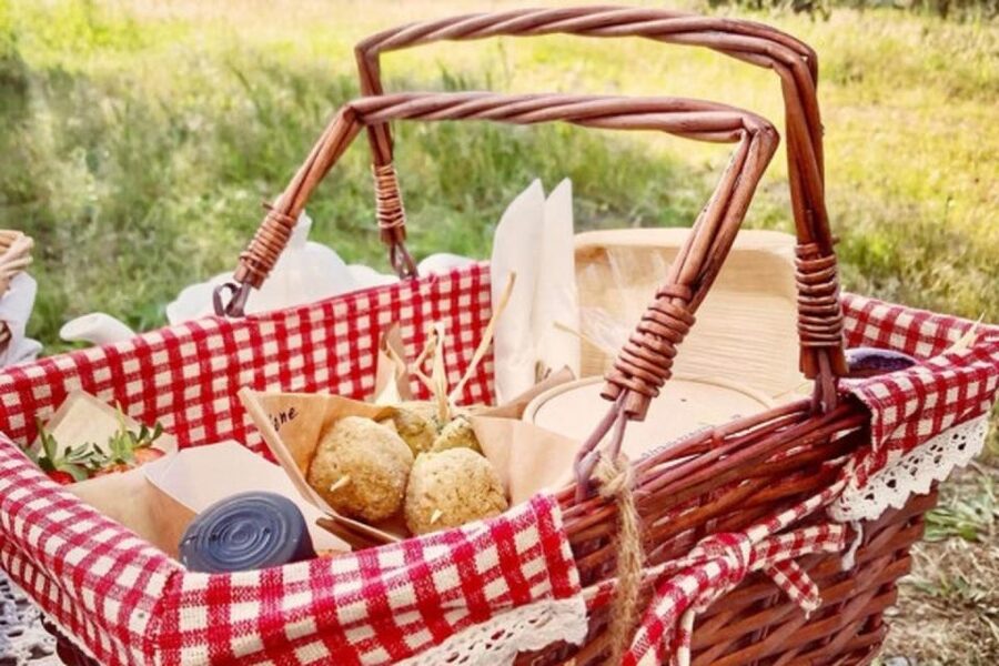 Sardinian Olive Oil tasting & Picnic among the olive trees - Is $81 a fair price?
