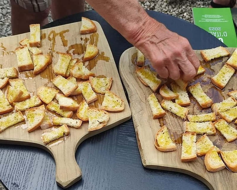 Seggiano: Guided Tour of the Olive Grove and Food Tasting - From olives to extra virgin oil