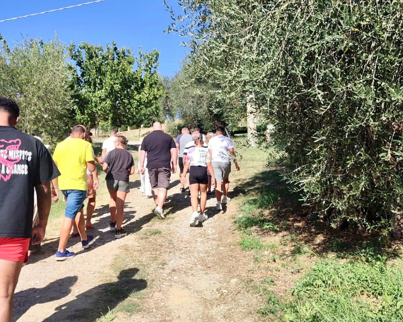 Seggiano: Guided Tour of the Olive Grove and Food Tasting - Learning how to taste olive oil