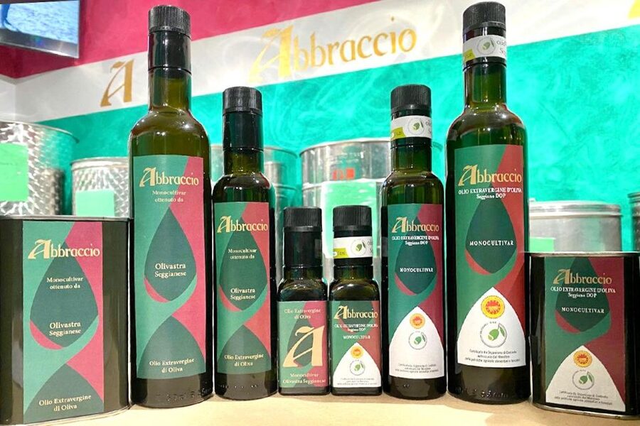 Seggiano: Typical Tuscan Farm Tour with Olive Oil Tasting - The first two hours, step by step