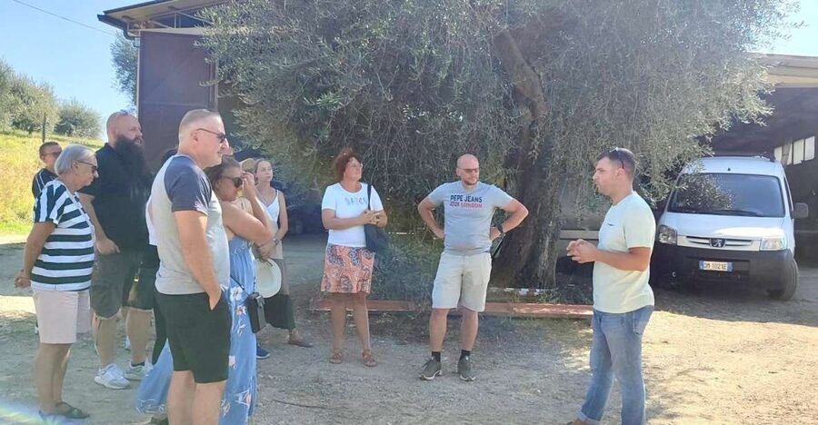 Seggiano: Typical Tuscan Farm Tour with Olive Oil Tasting - What the family-run setting adds