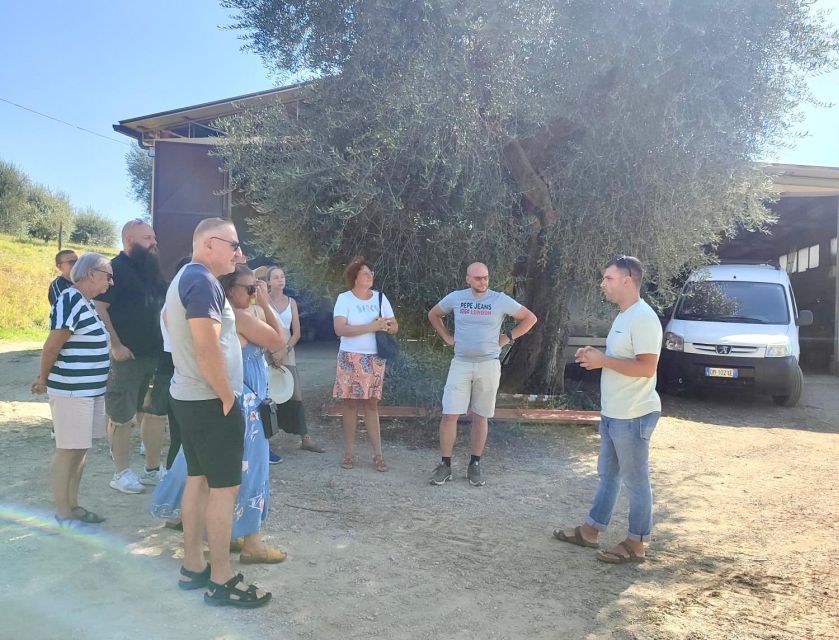 Seggiano: Typical Tuscan Farm Tour with Olive Oil Tasting - Getting there is the part to plan carefully