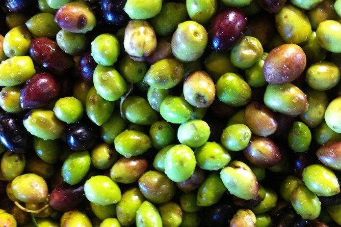 Semi Private Wine and Olive Oil tour (Transfer & Lunch Incl.) - What to bring and how to plan your day
