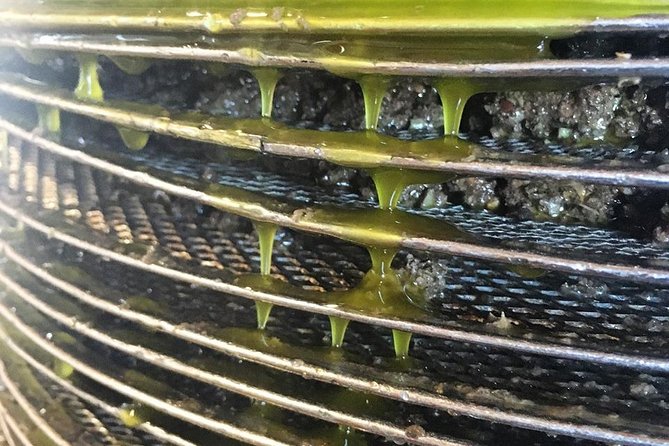 Semi Private Wine and Olive Oil tour (Transfer & Lunch Incl.) - Should you book it?