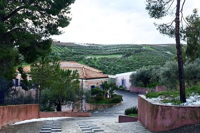 Semi Private Wine and Olive Oil tour (Transfer & Lunch Incl.) - Skalani: learning why olive oil tastes different