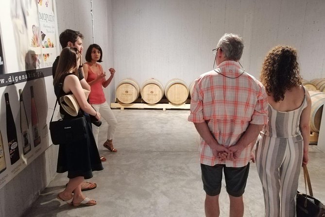 Semi Private Wine, Olive Oil, and Terroir Tour of Heraklion area with Tastings - Digenakis Winery and five Cretan wines