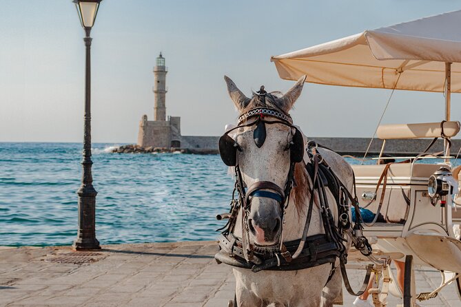 Shore Escape: Chania, Monastery & Olive Oil Tasting - Key points to know before booking