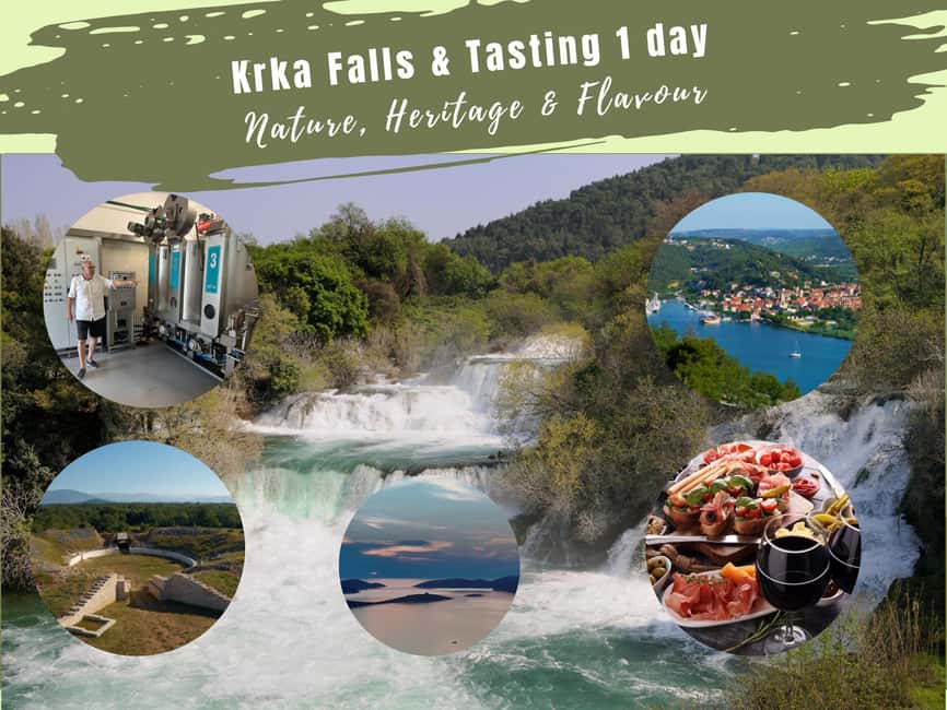 Šibenik or Zadar: Krka falls, olive mill, oil & wine tasting - The olive grove explains the taste