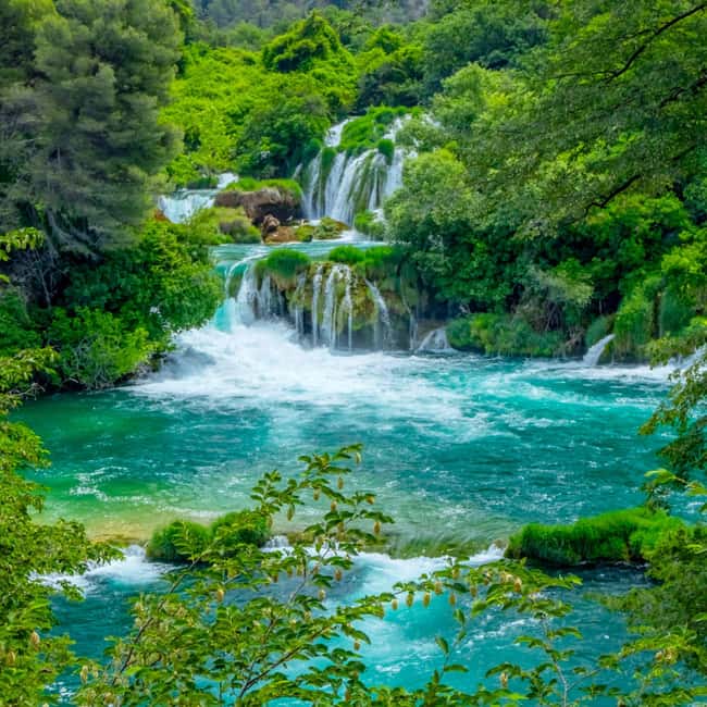 Šibenik or Zadar: Krka falls, olive mill, oil & wine tasting - Five oils, three wines, and a Dalmatian table