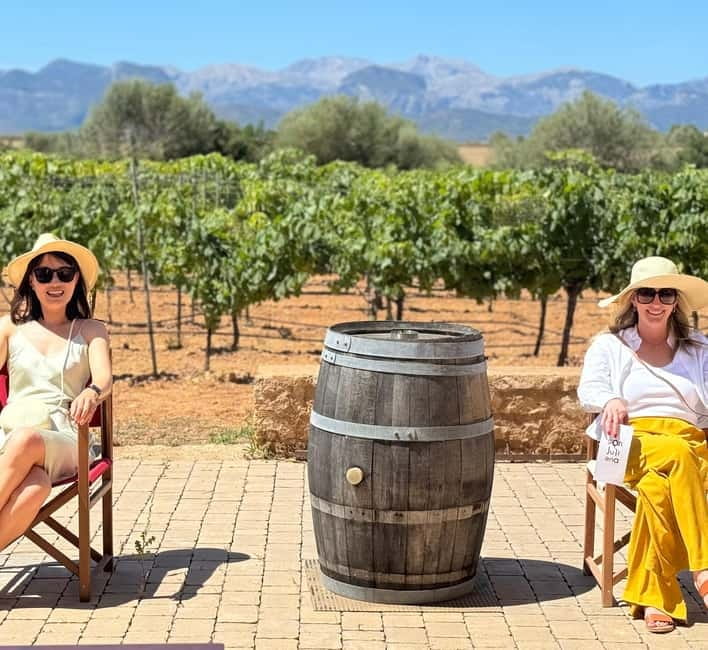 Small group- Exclusive Olive Oil & Wine Tour Mallorca - Mallorca through olive oil and wine