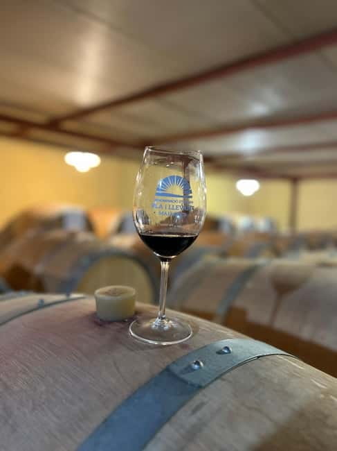 Small group- Exclusive Olive Oil & Wine Tour Mallorca - The guide makes the difference