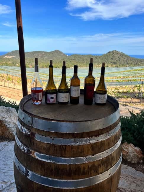 Small group- Exclusive Olive Oil & Wine Tour Mallorca - Who should book this tour?