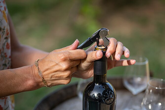 Small-Group Half-Day Languedoc Wine and Olive Tour from Montpellier - Booking details worth checking before departure
