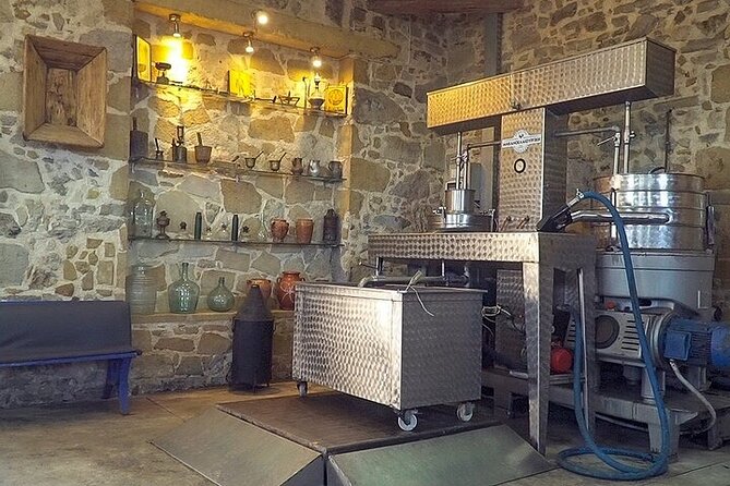 Small-Group Honey & Extra Virgin Olive Oil Tasting Tour in Crete - The tasting table is the real payoff