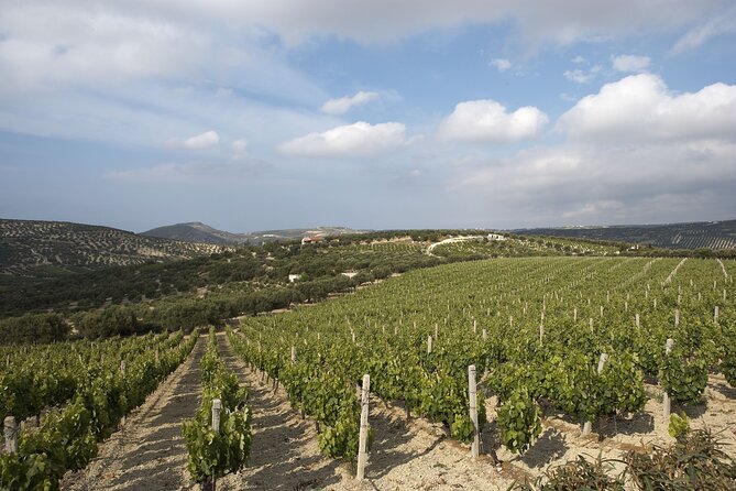 Small Group: Knossos, Olive Oil, Winery & Raki with Lunch - Why this Crete day works so well