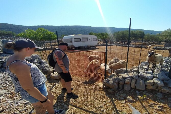 Small-Group Olive Oil Tour in Cres with Tasting - Who will enjoy this Cres tour most