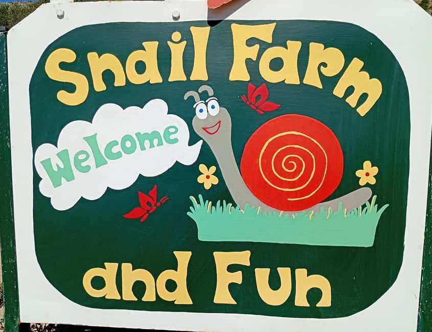 Snail and olive farm tour with table olives & homemade sweet - Key points at Snail Farm and Fun