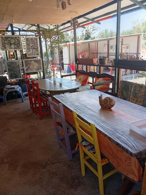 Snail and olive farm tour with table olives & homemade sweet - A Small Farm With a Big Local Story