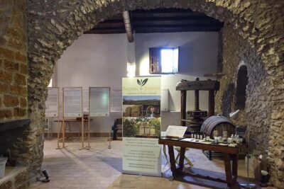 Soap and Olive Oil Experience